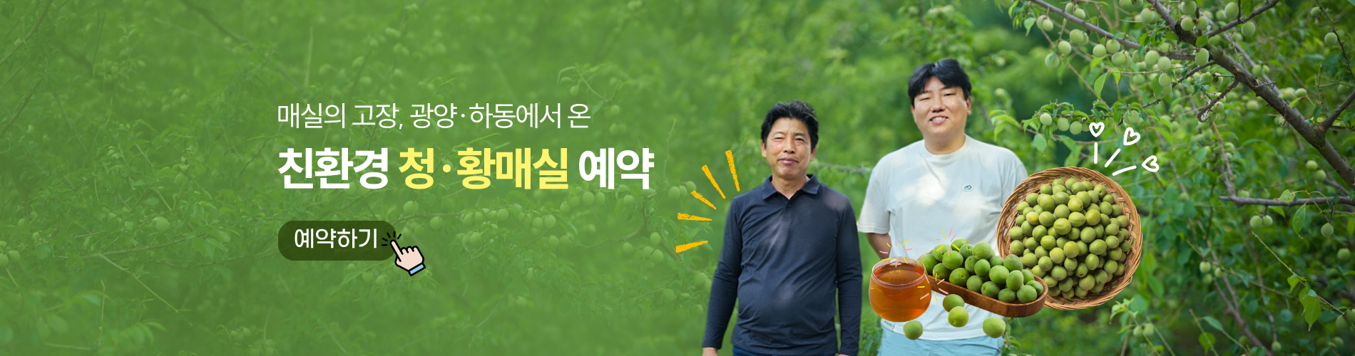 매실 예약